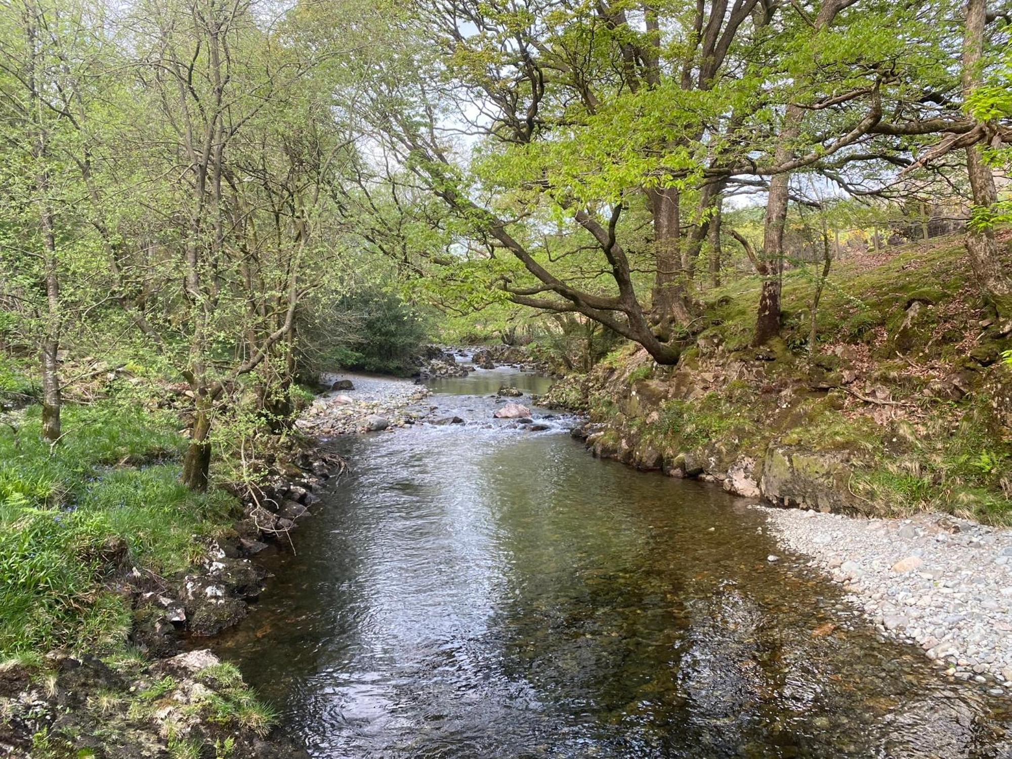 Cosy Glamping In The Eskdale Valley - Studio Lodges And Mega Pods Exterior photo